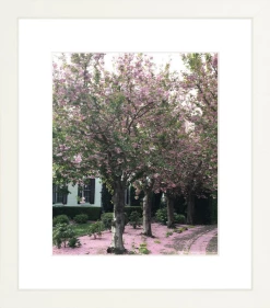 Elsie Green Sonoma In Bloom Printed Photograph