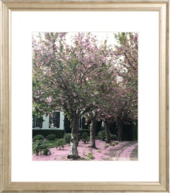 Elsie Green Sonoma In Bloom Printed Photograph