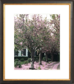 Elsie Green Sonoma In Bloom Printed Photograph