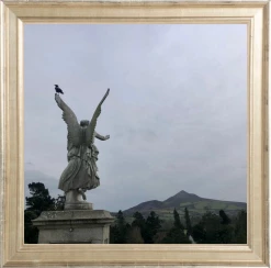 Elsie Green Powerscourt Printed Photograph What's New