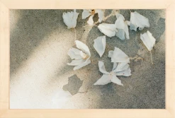 Elsie Green Trail Offerings Printed Photograph Art Galerie