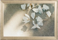 Elsie Green Trail Offerings Printed Photograph Art Galerie