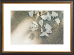 Elsie Green Trail Offerings Printed Photograph Art Galerie