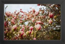 Elsie Green Art Galerie Magnolias