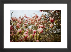 Elsie Green Art Galerie Magnolias