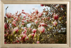 Elsie Green Art Galerie Magnolias