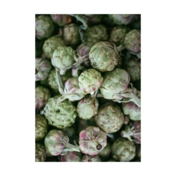 Elsie Green Artichokes Printed Photograph