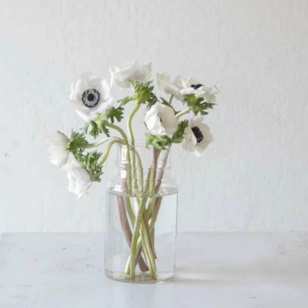 Top 10 👍 Elsie Green Vintage 🍬 Candy Jar Decor 🌟 4 Elsie Green Vintage Candy Jar Decor